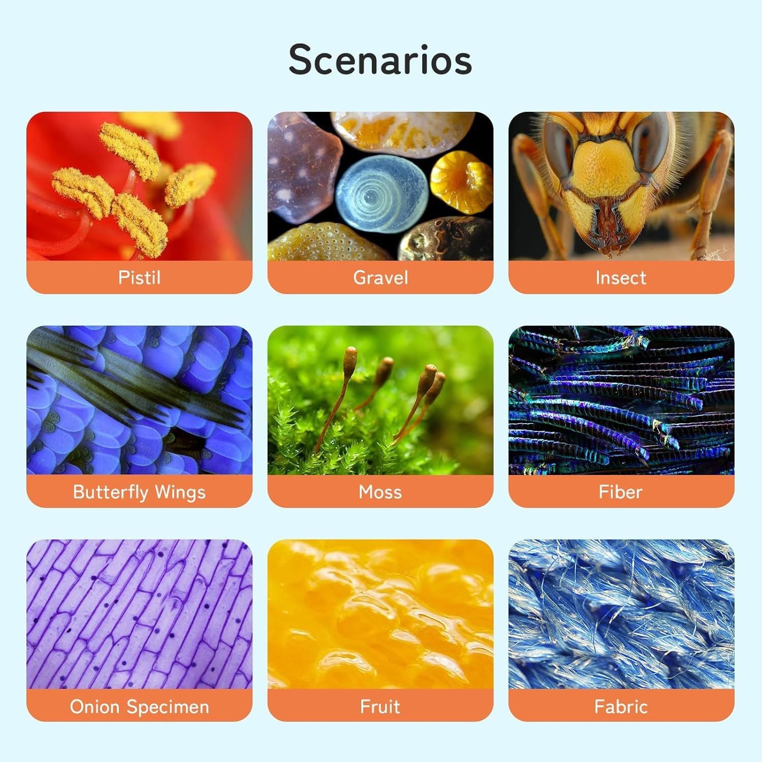 APEXEL digitalt mikroskop, 800X håndholdt mikroskop med 2” IPS-skærm, foto- og videoportabelt mikroskop med justerbare lamper