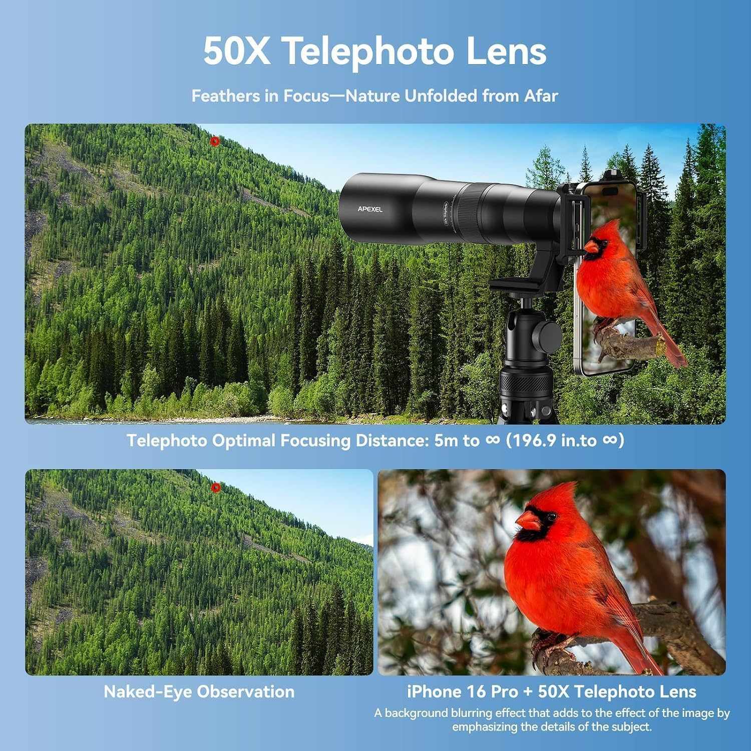 APEXEL Telecular 20–60x professionelt kompakt zoomobjektiv til smartphones